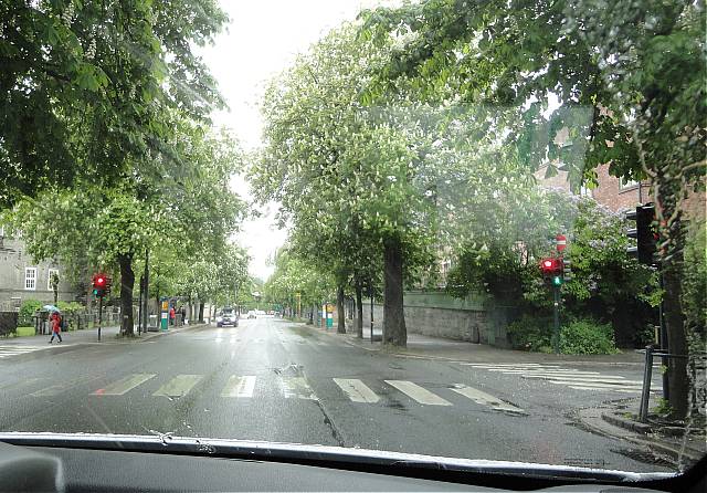 Nr kastanjene blomstrer i Bygdy all