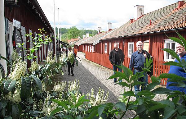 promenad i smedstaden